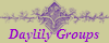 Daylily Groups
